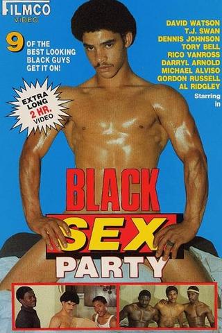 Black Sex Party poster