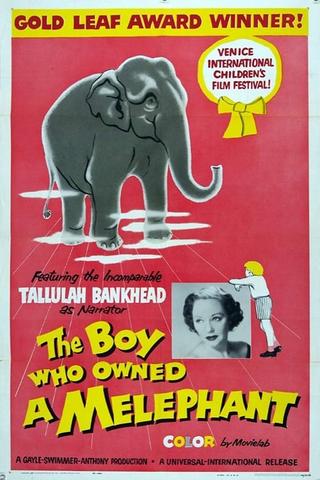 The Boy Who Owned a Melephant poster