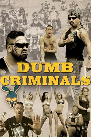 Dumb Criminals: The Movie poster