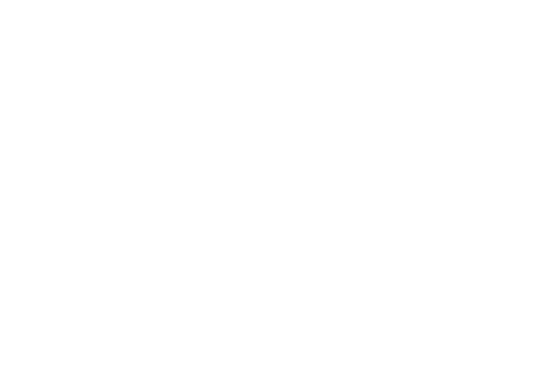 The Flying Scot logo