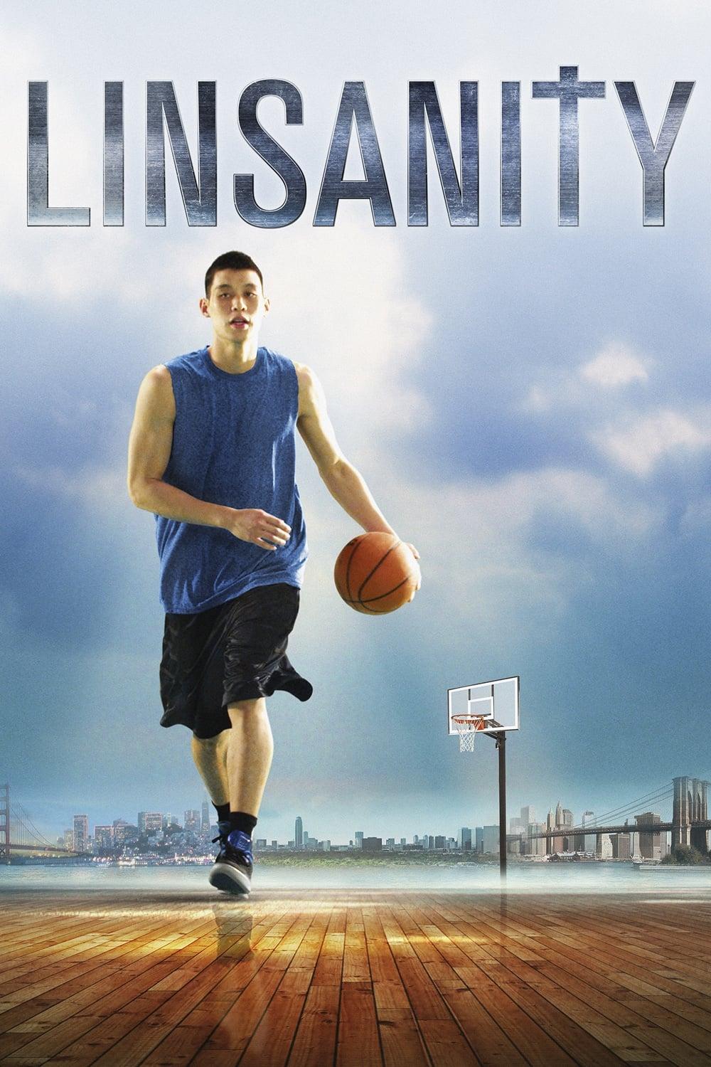 Linsanity poster