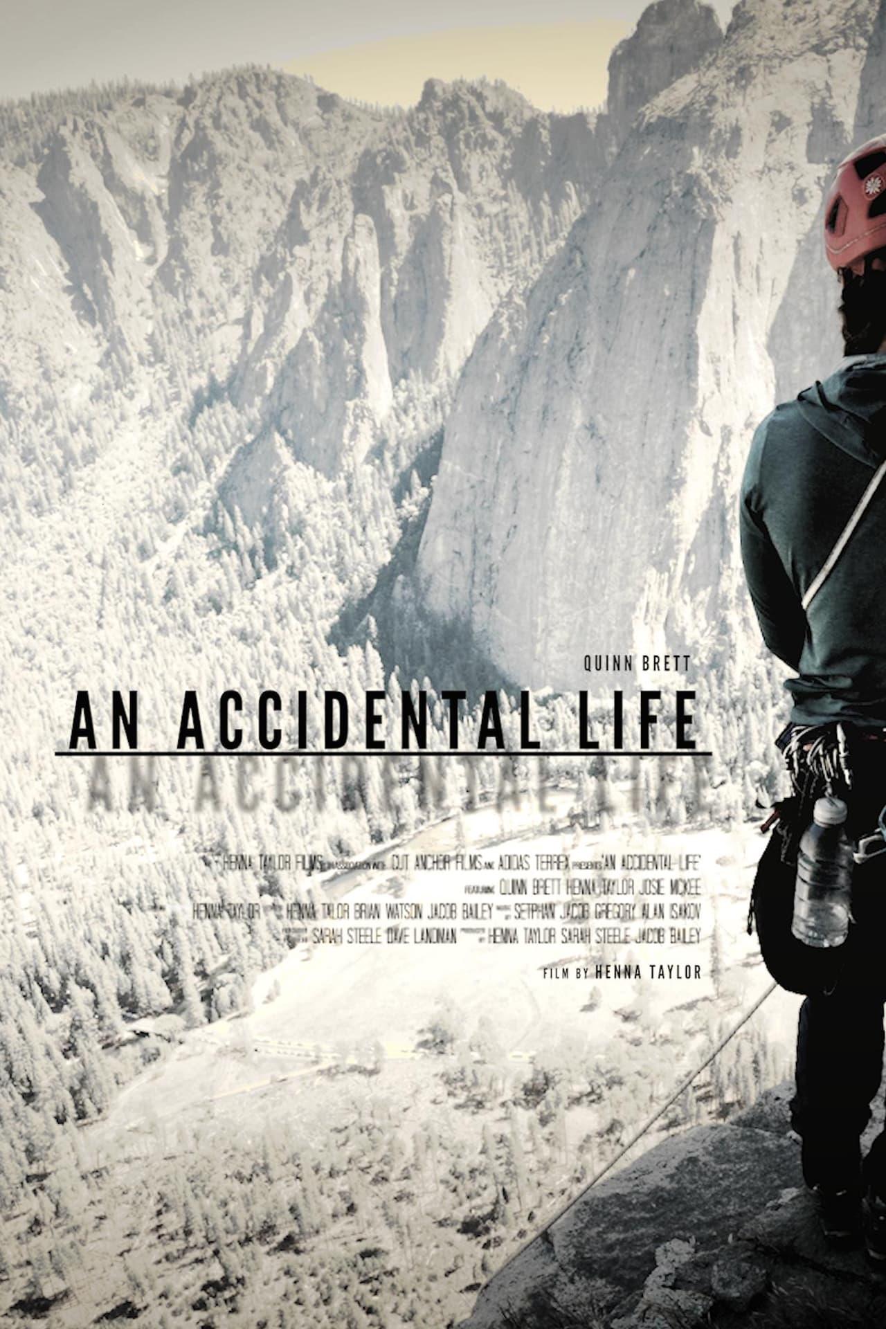 An Accidental Life poster