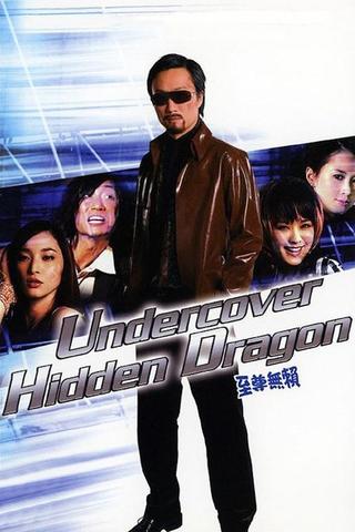 Undercover Hidden Dragon poster