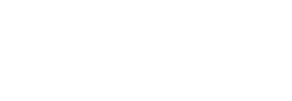 The Girl Has Flown logo