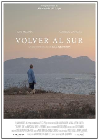 Volver al sur poster