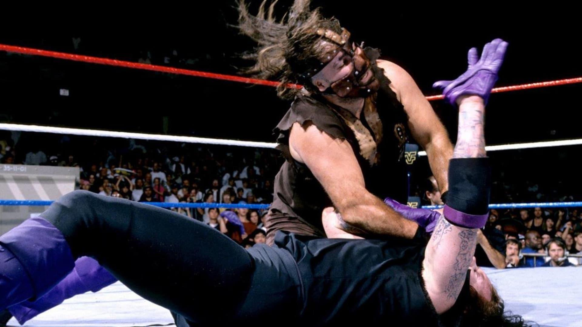 WWE SummerSlam 1996 backdrop