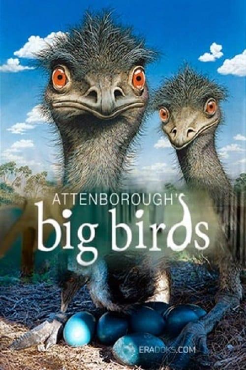 Attenborough's Big Birds poster