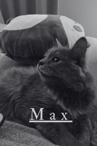 Max poster