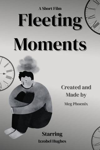 Fleeting Moments poster