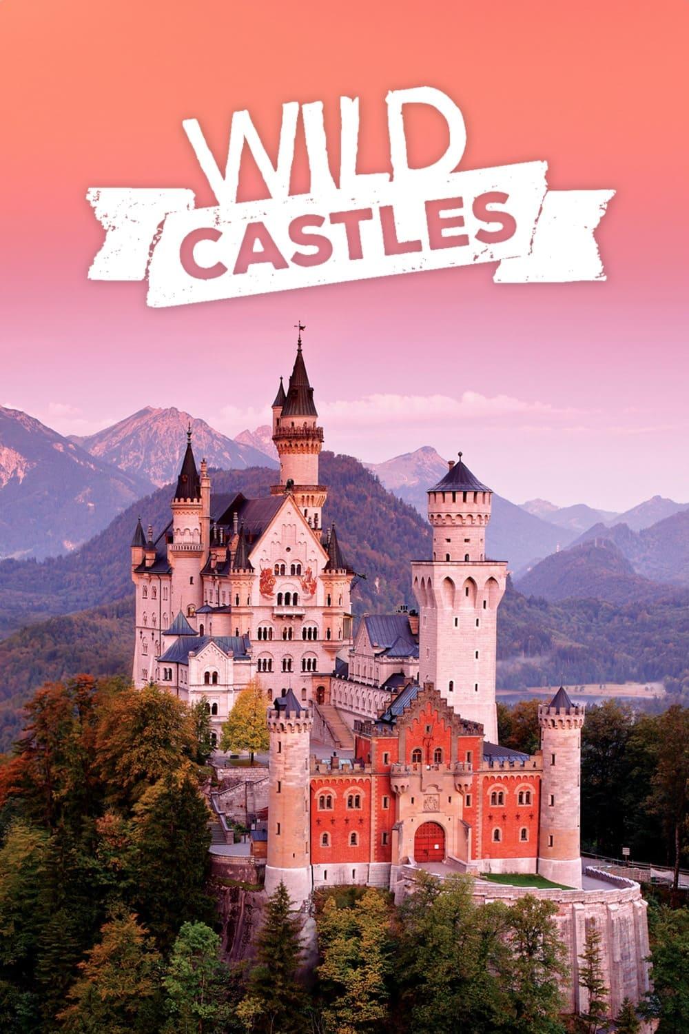 Wild Castles poster