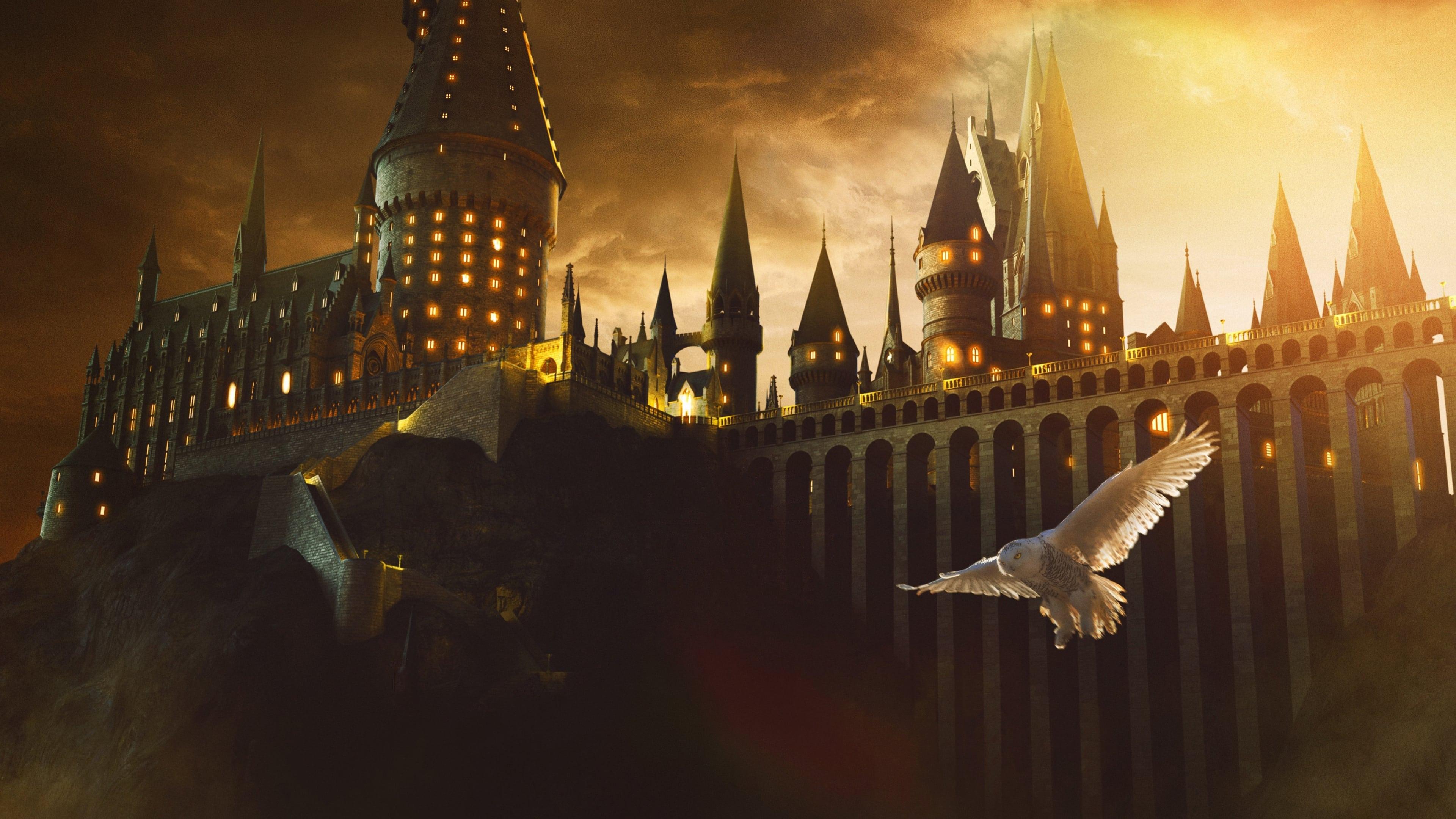 Harry Potter backdrop