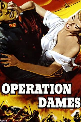 Operation Dames poster