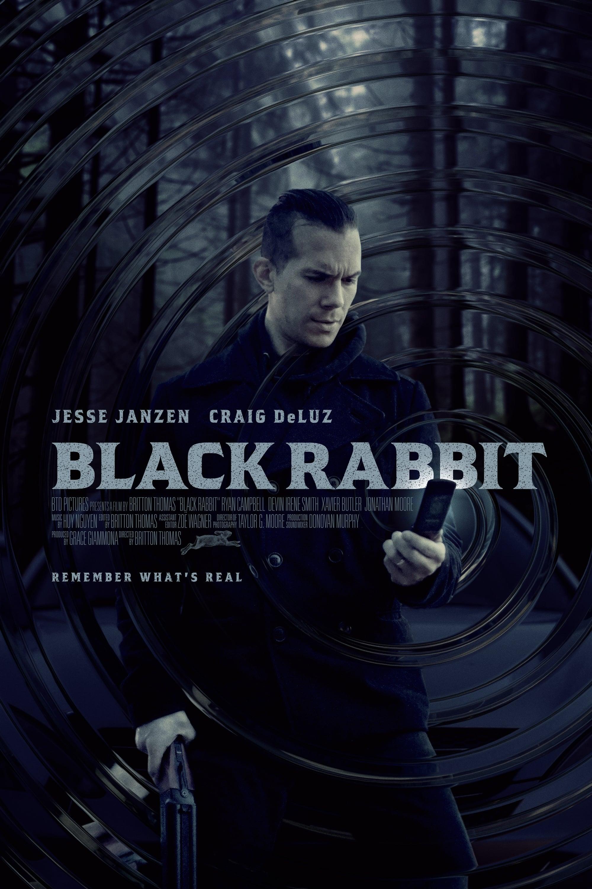 Black Rabbit poster