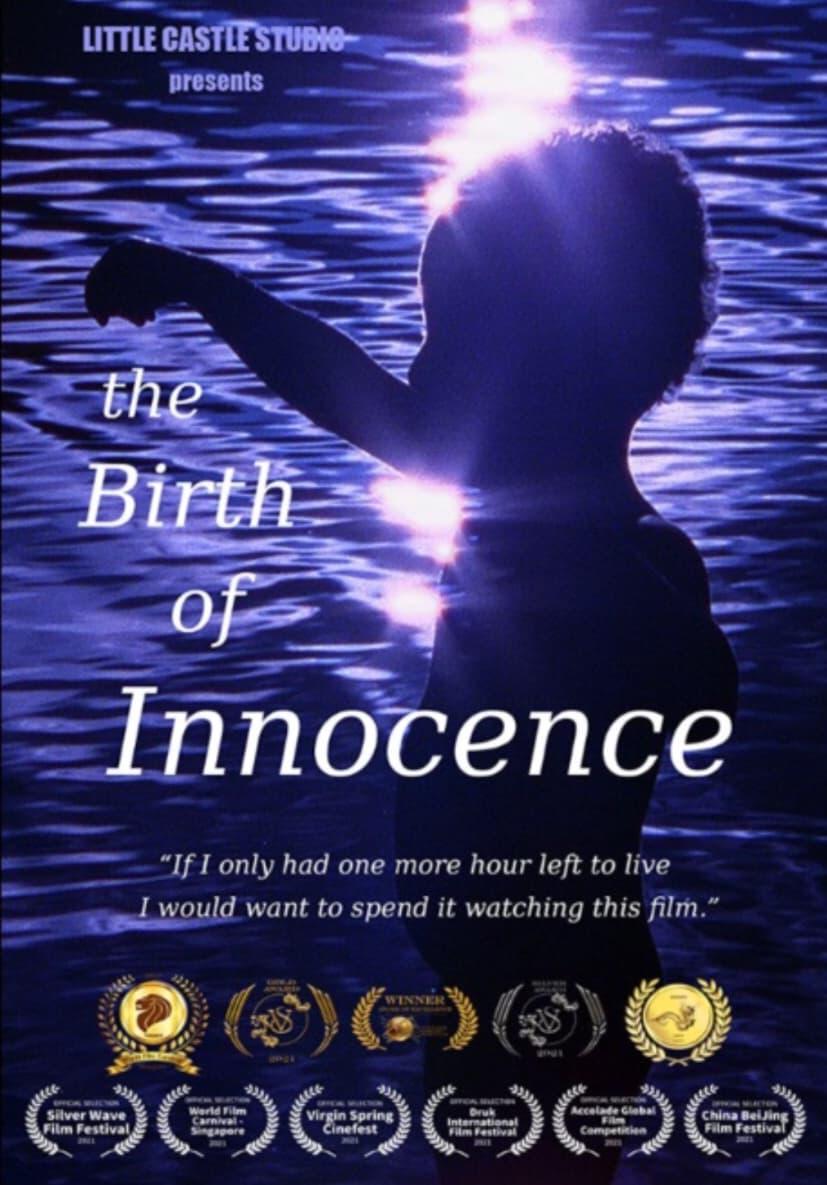 The Birth of Innocence poster