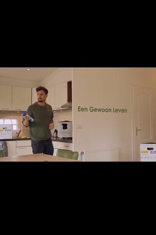 Een gewoon leven poster