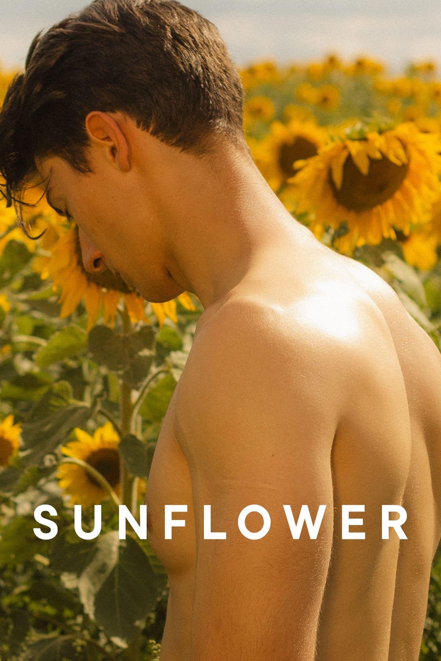 Sunflower poster