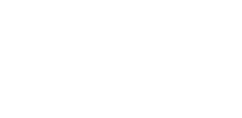 Venus in the Sky logo