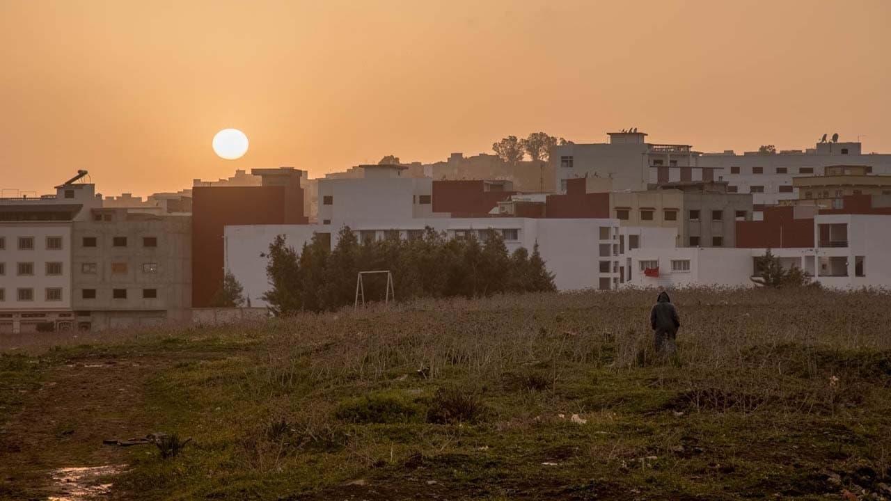 Palestine backdrop