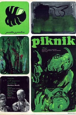 Piknik poster