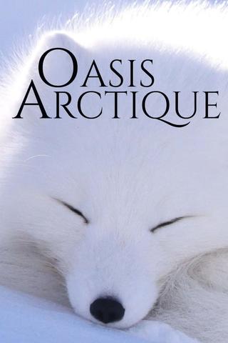 Oasis Arctique poster