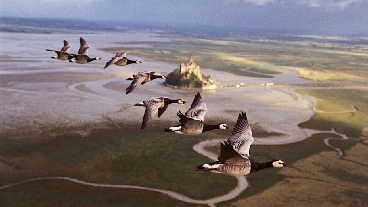 Winged Migration backdrop