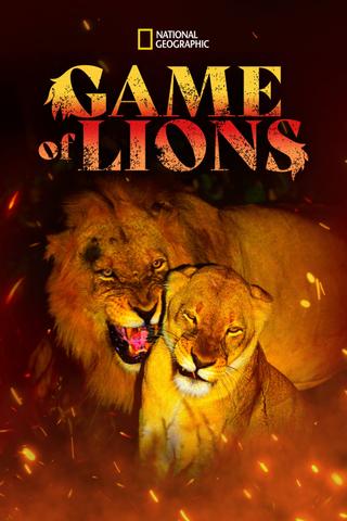 Game of Lions poster