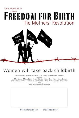 Freedom For Birth poster