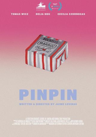 PINPIN poster