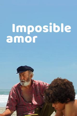 Impossible Love poster