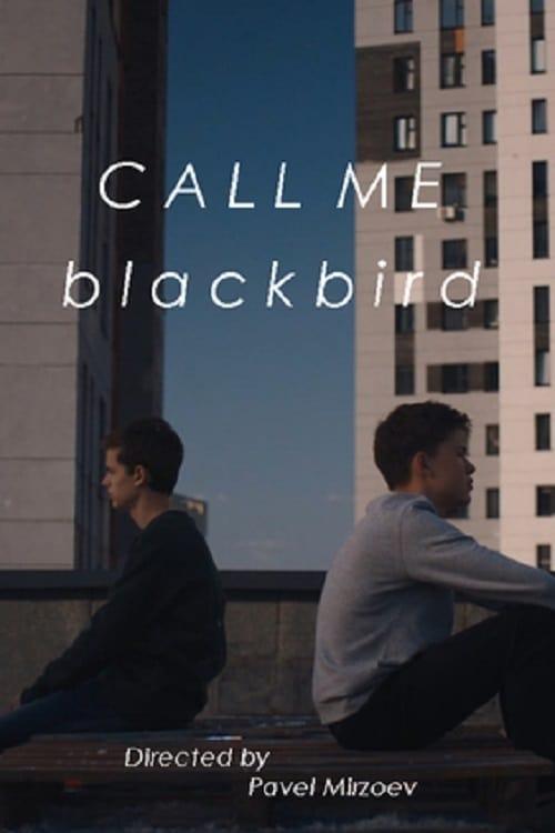 Call Me Blackbird poster