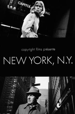 New York, N.Y. poster