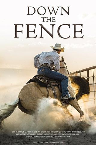 Down the Fence poster