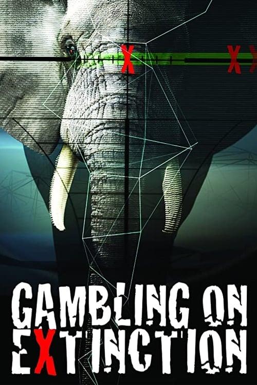 Gambling on Extinction poster