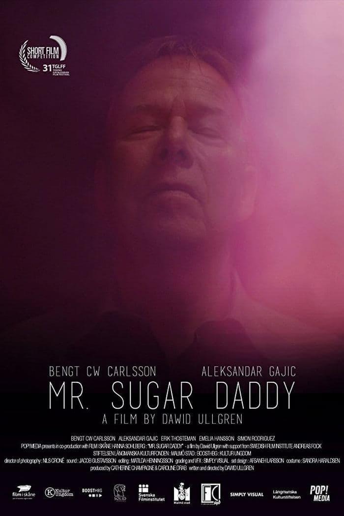 Mr. Sugar Daddy poster