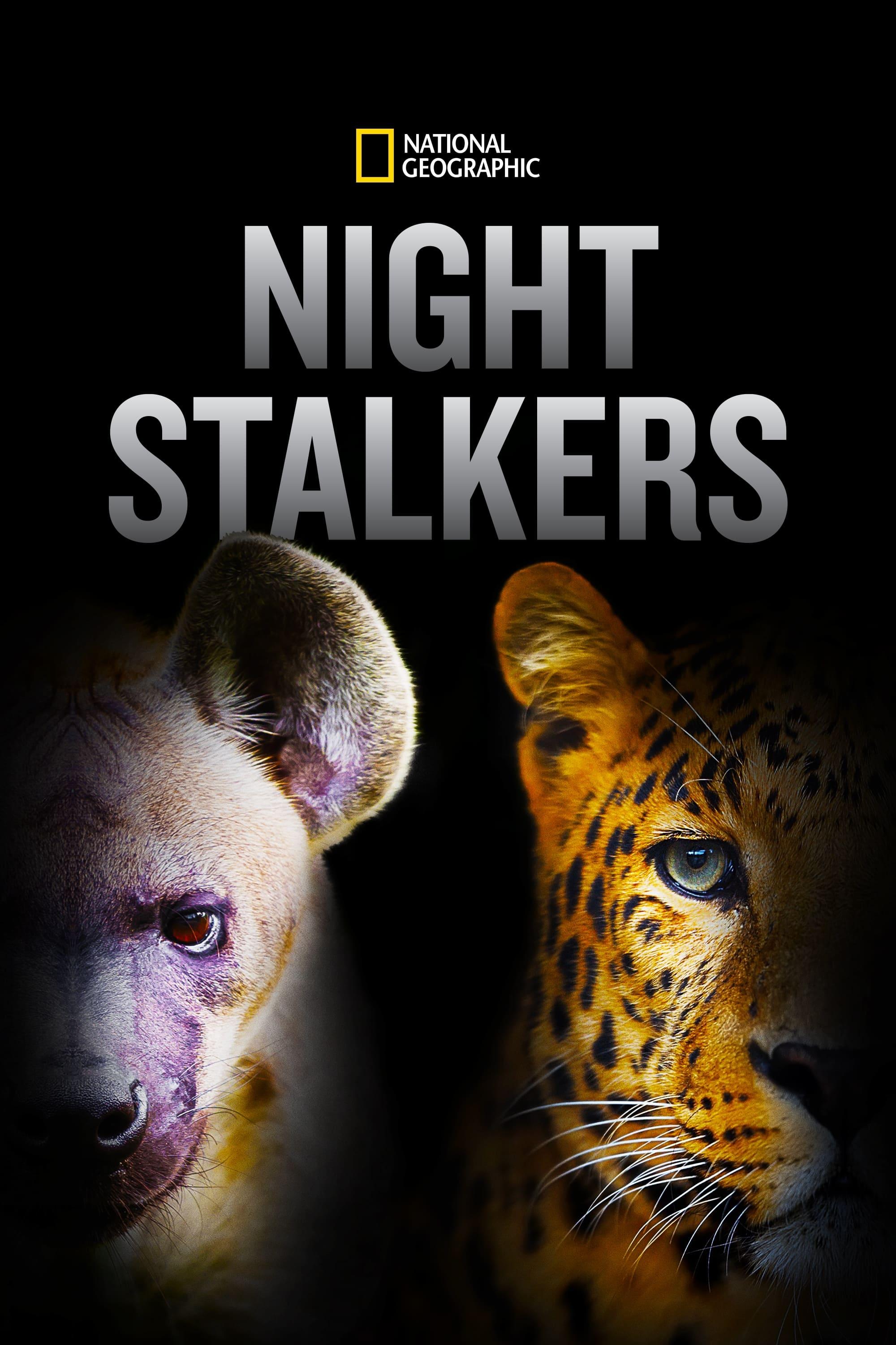 Night Stalkers poster