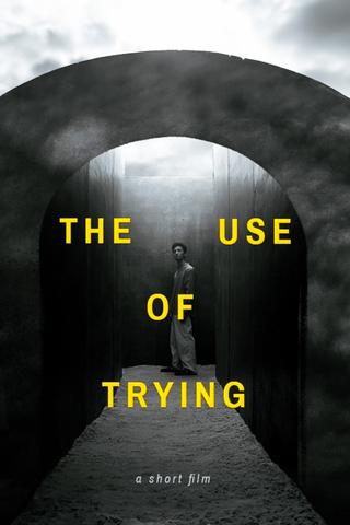 The Use of Trying poster