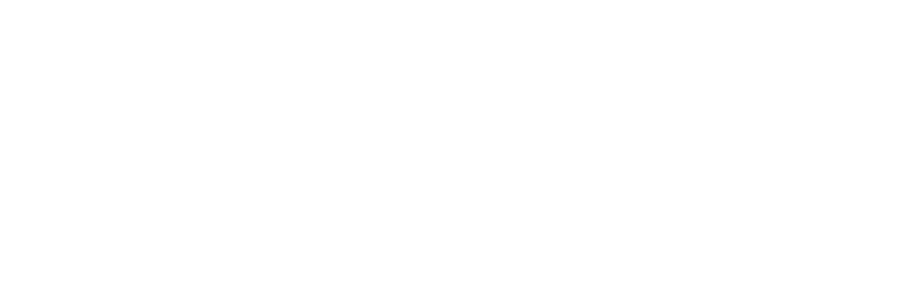 Matrimonial Chaos logo