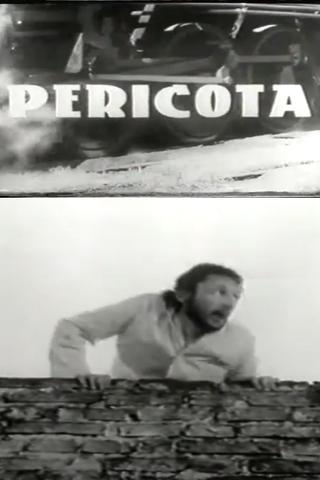 Pericota poster