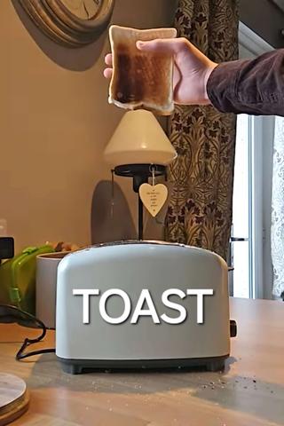 TOAST poster