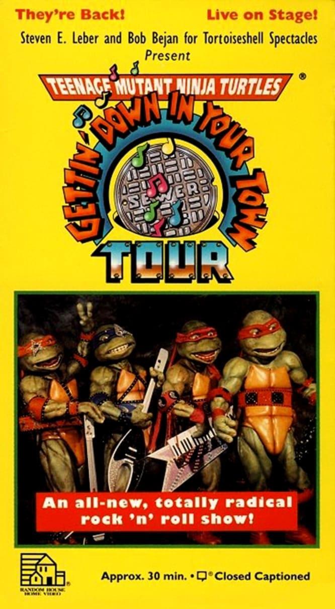 Teenage Mutant Ninja Turtles: Getting Down In Your Town poster