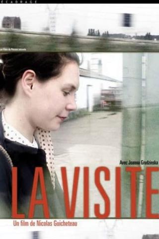 La visite poster