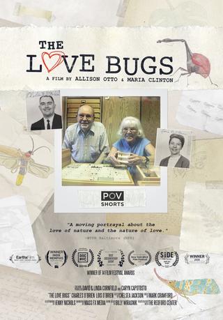 The Love Bugs poster