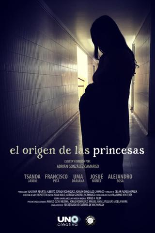 The provenance of the princesses poster