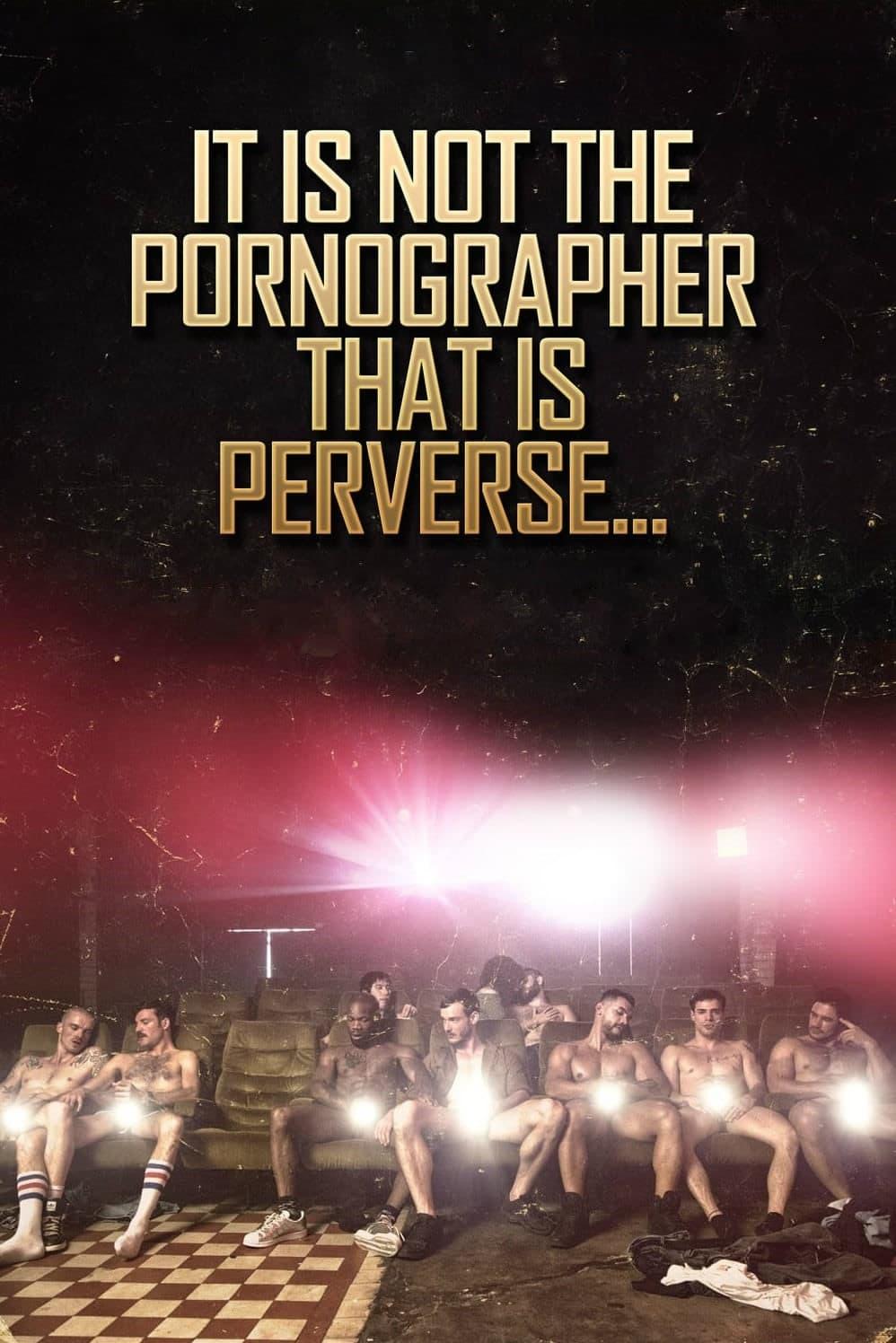 It Is Not the Pornographer That Is Perverse... poster