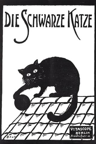 Die schwarze Katze 1. Teil poster