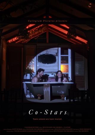 Co-Stars poster