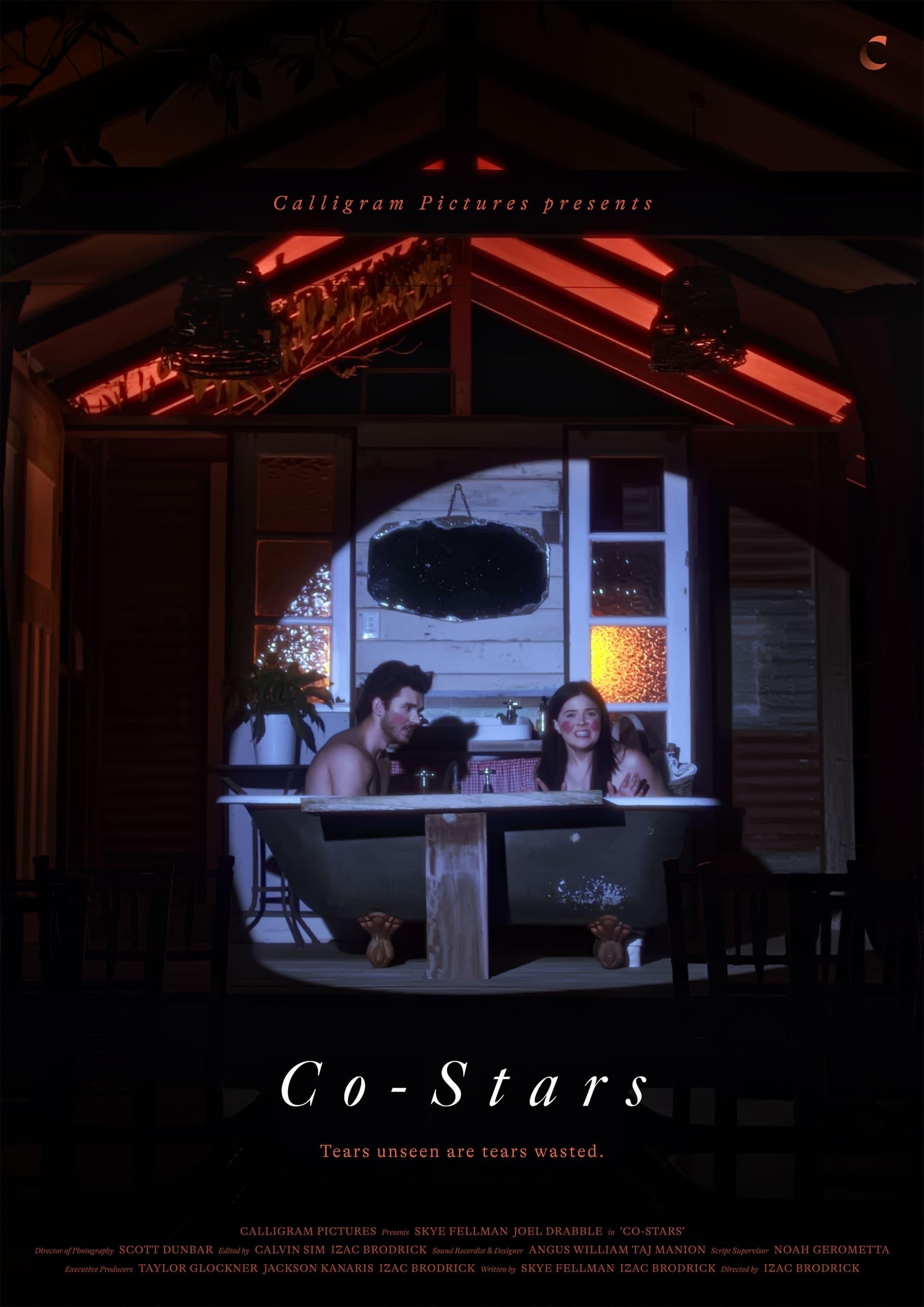 Co-Stars poster