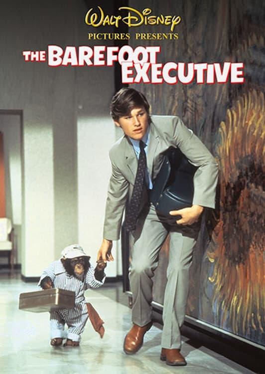 The Barefoot Executive poster