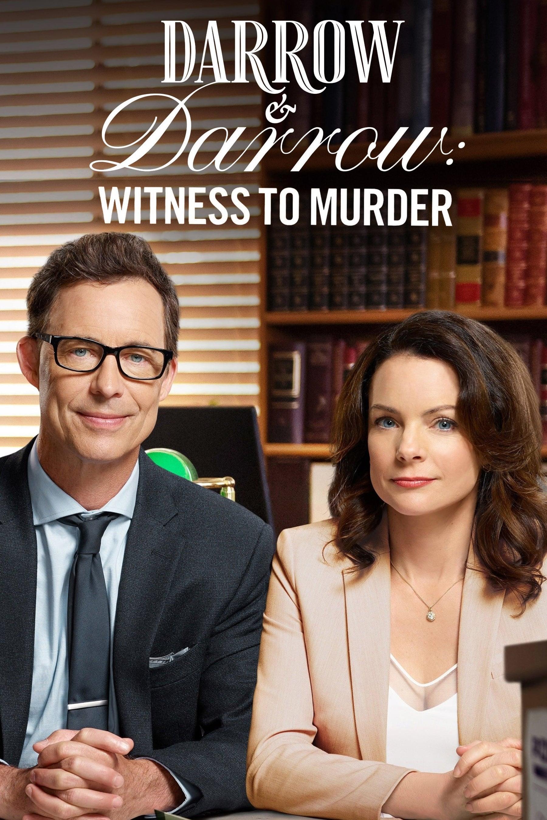 Darrow & Darrow: Witness to Murder poster