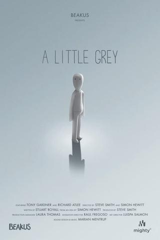 A Little Grey poster